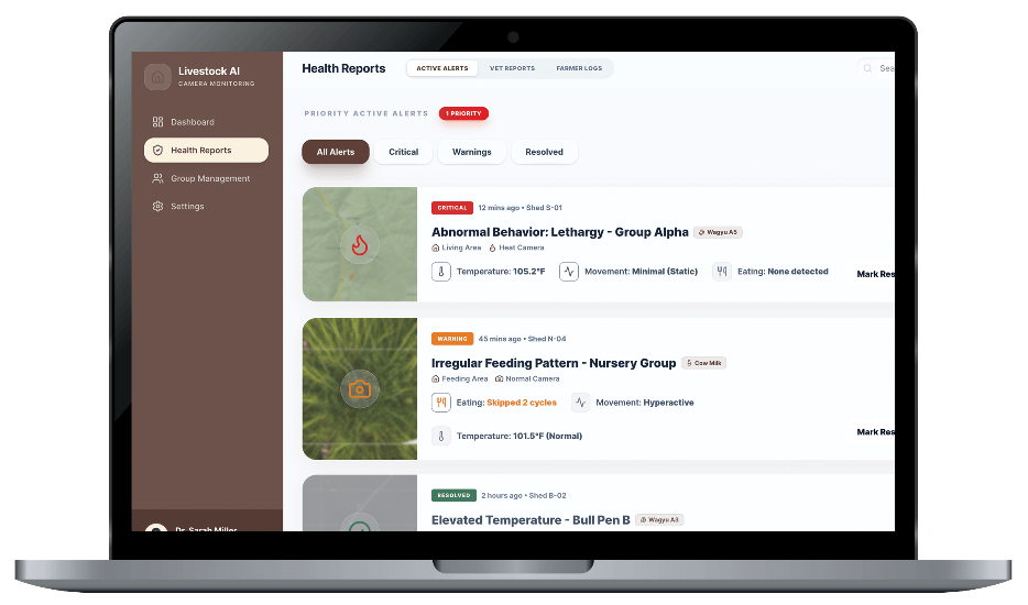 Groove Technology - Case Study Image