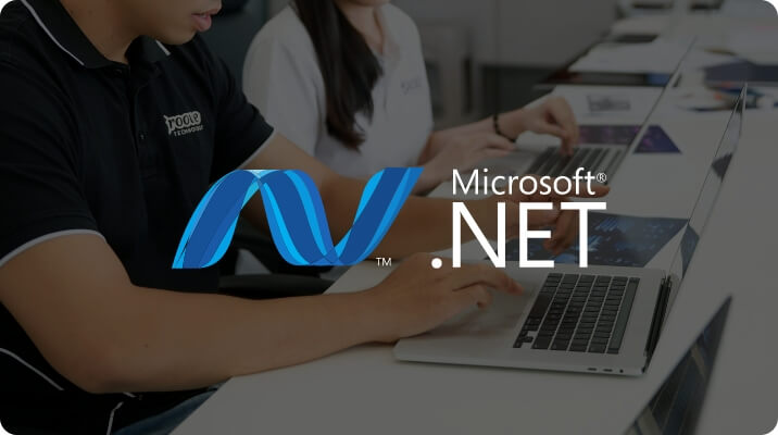 Groove Technology - .NET Development Service