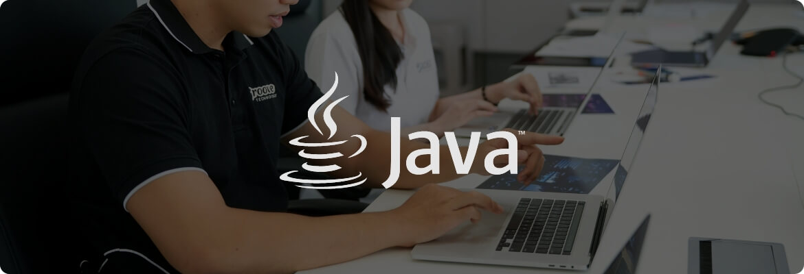 Groove Technology - Java Development Services
